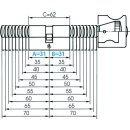 ZI Ikon Profil-Knaufzylinder - Wendeschlüsselprofil RWS, System R10, KNF=1