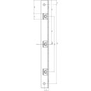 Zi Ikon Winkel-Sicherheitsschließblech für überfälzte Türen mit drei Ankern 9M44,AUS=A/3